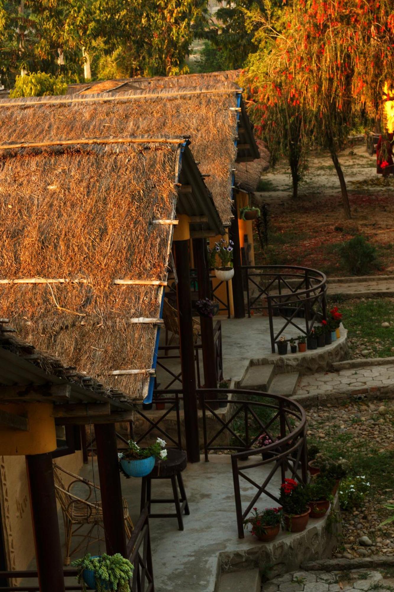 Mr. B'S Place Bardiya Exterior photo